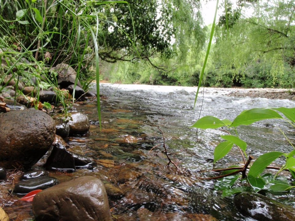 Natural landscape