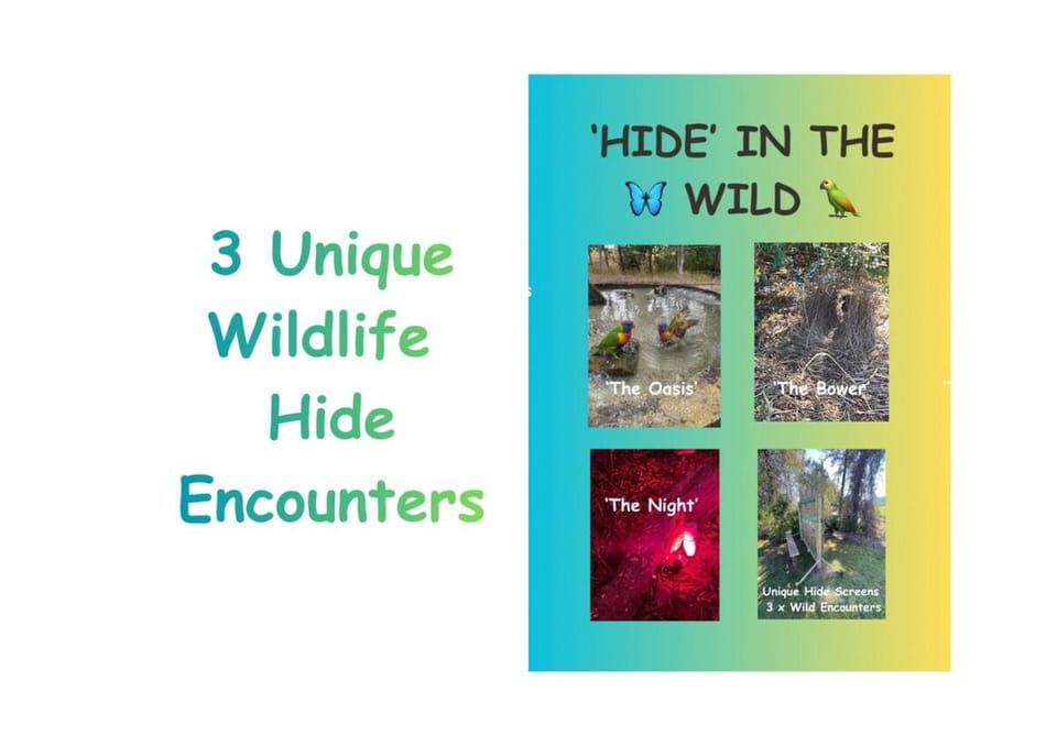 Natural landscape, Activities, View (from property/room), Animals, On site