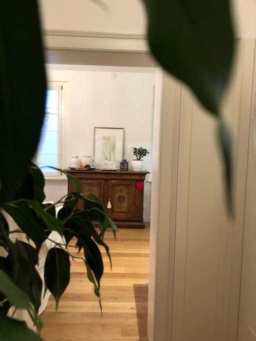 ISA's home Apartment in Friuli-Venezia Giulia