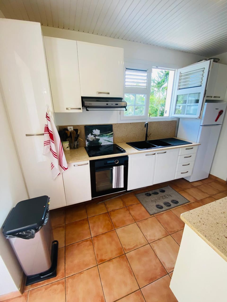 Kitchen or kitchenette, minibar, pet friendly, stove, toaster, washing machine, washing machine