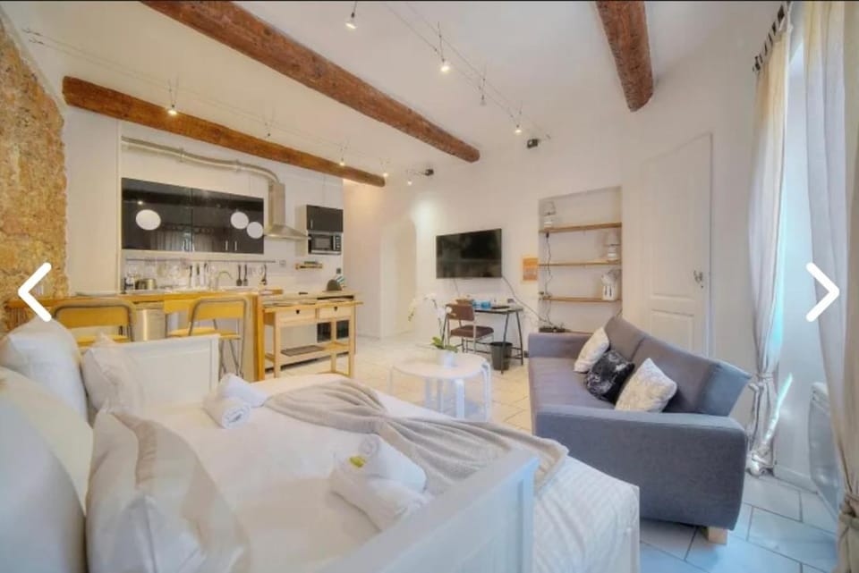 Appartement Canne 1 chambre - 12RP Apartment in Cannes