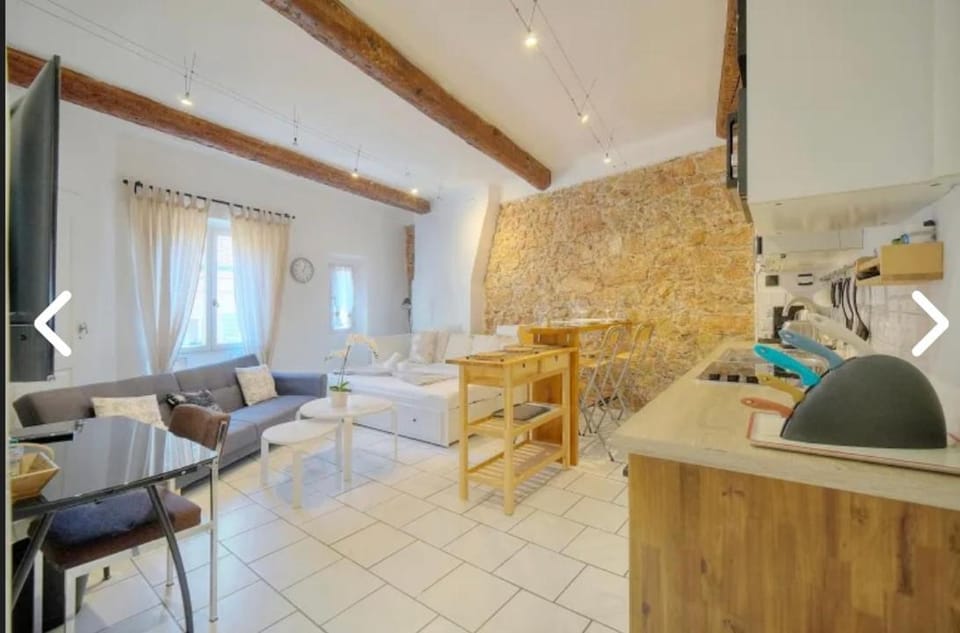 Appartement Canne 1 chambre - 12RP Apartment in Cannes