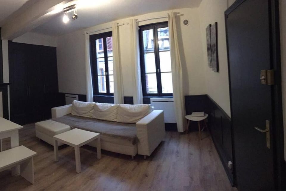 Bel appart au centre-ville proche gare avec wifi. Apartment in Bourgogne-Franche-Comté