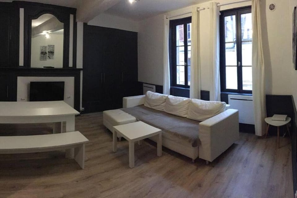Bel appart au centre-ville proche gare avec wifi. Apartment in Bourgogne-Franche-Comté