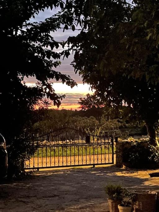 Natural landscape, Garden view, Sunset