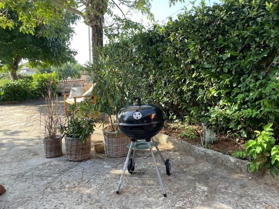 BBQ facilities, Garden, Garden view