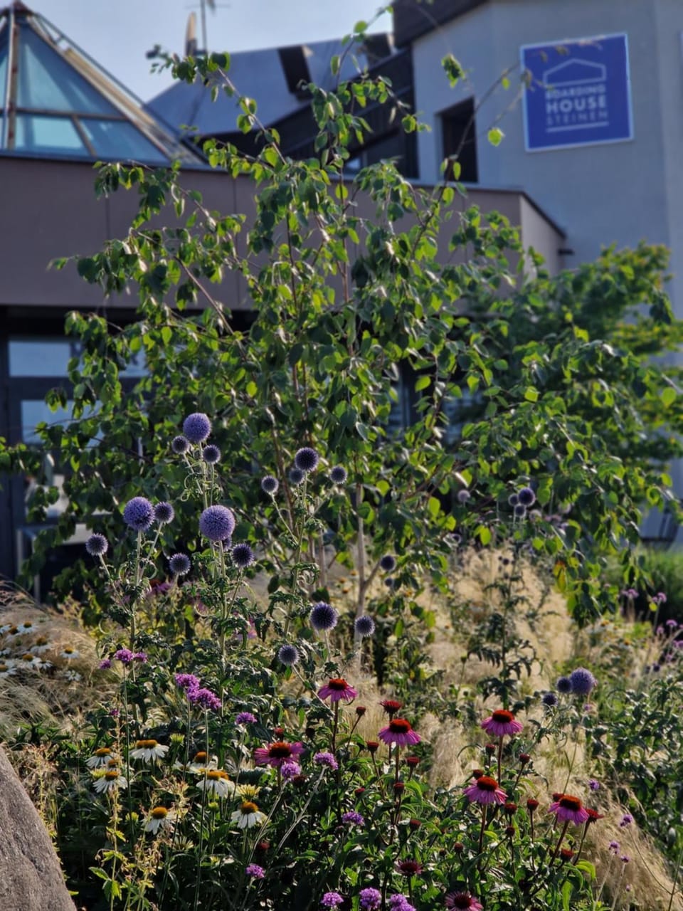 Boardinghouse Steinen Apartment in Lörrach