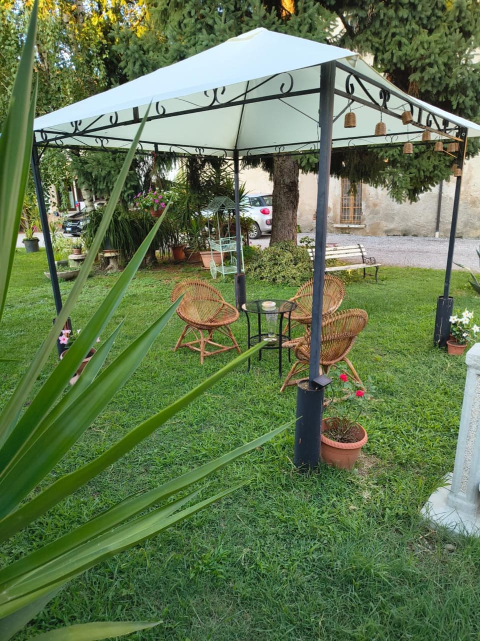 Spring, Garden, Garden view