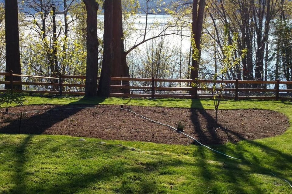 C19 Conscious, QUIET, ADULT Lake View Rental Apartment in Lake Sammamish