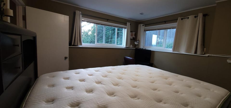 C19 Conscious, QUIET, ADULT Lake View Rental Apartment in Lake Sammamish