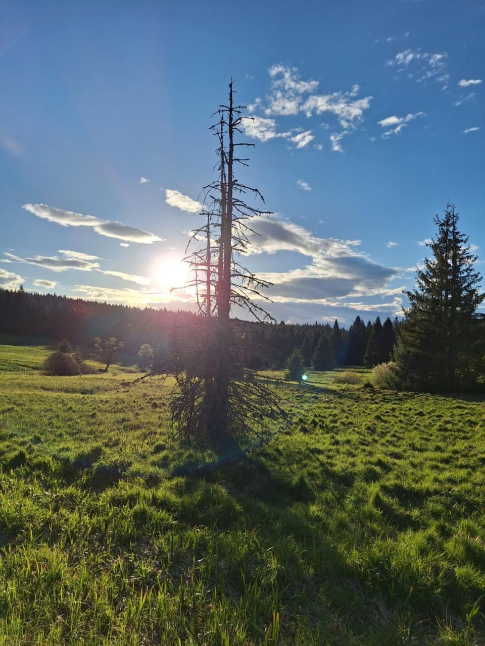 Spring, Natural landscape