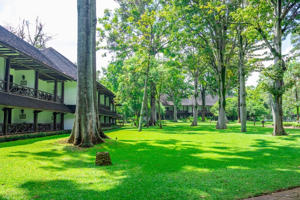 Natural landscape, Garden view
