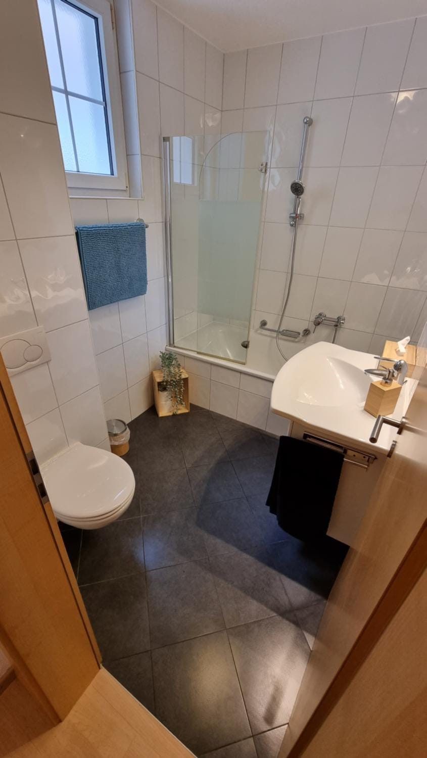 Shower, Toilet, Bathroom, towels