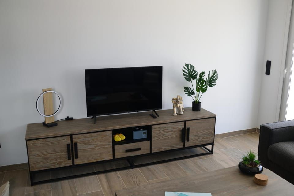 TV and multimedia