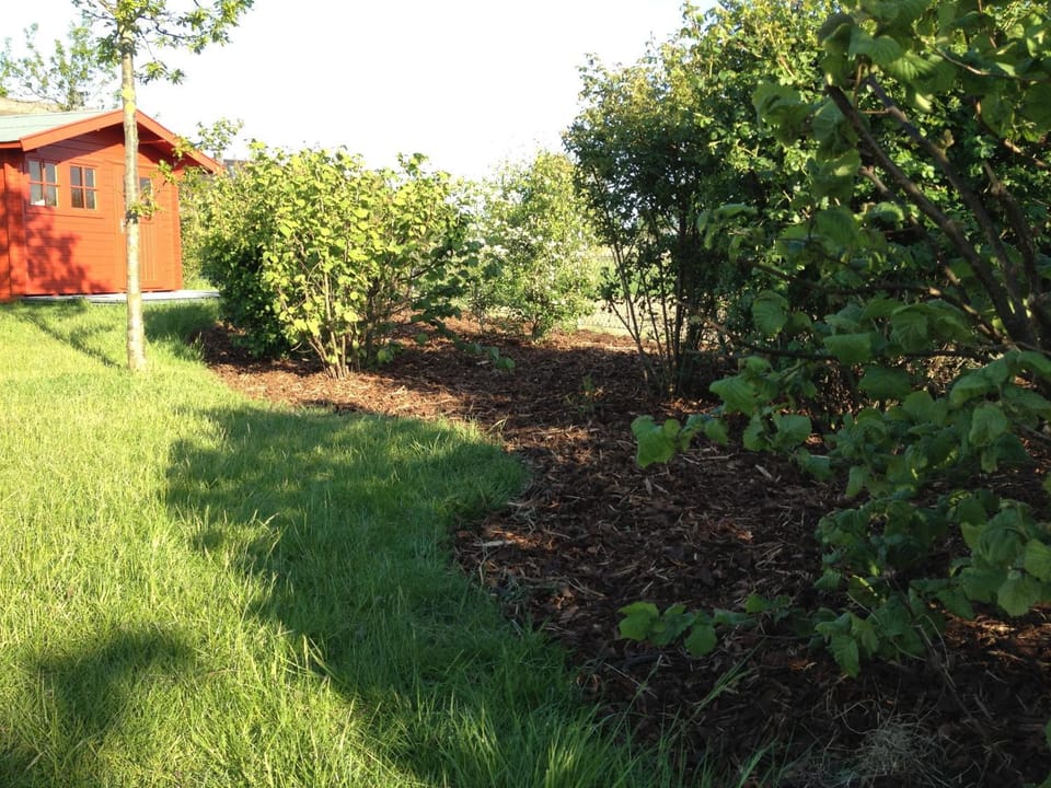 Apartment Strandkate Wohnung Strandhafer Apartment in Mecklenburg-Vorpommern, Germany