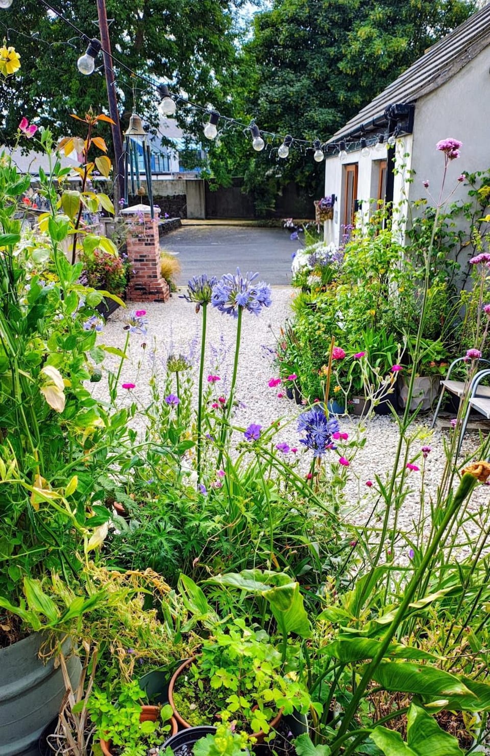 Ropewalk Cottage - A Little Treasure By The Coast Apartment in Northern Ireland
