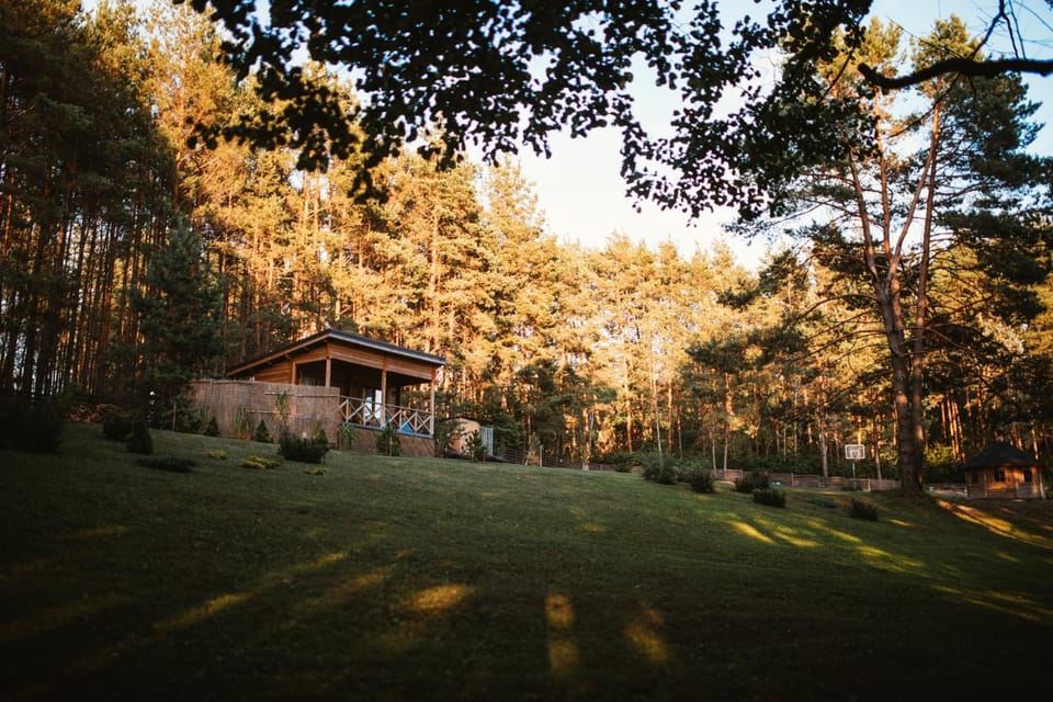 Property building, Natural landscape, Garden view