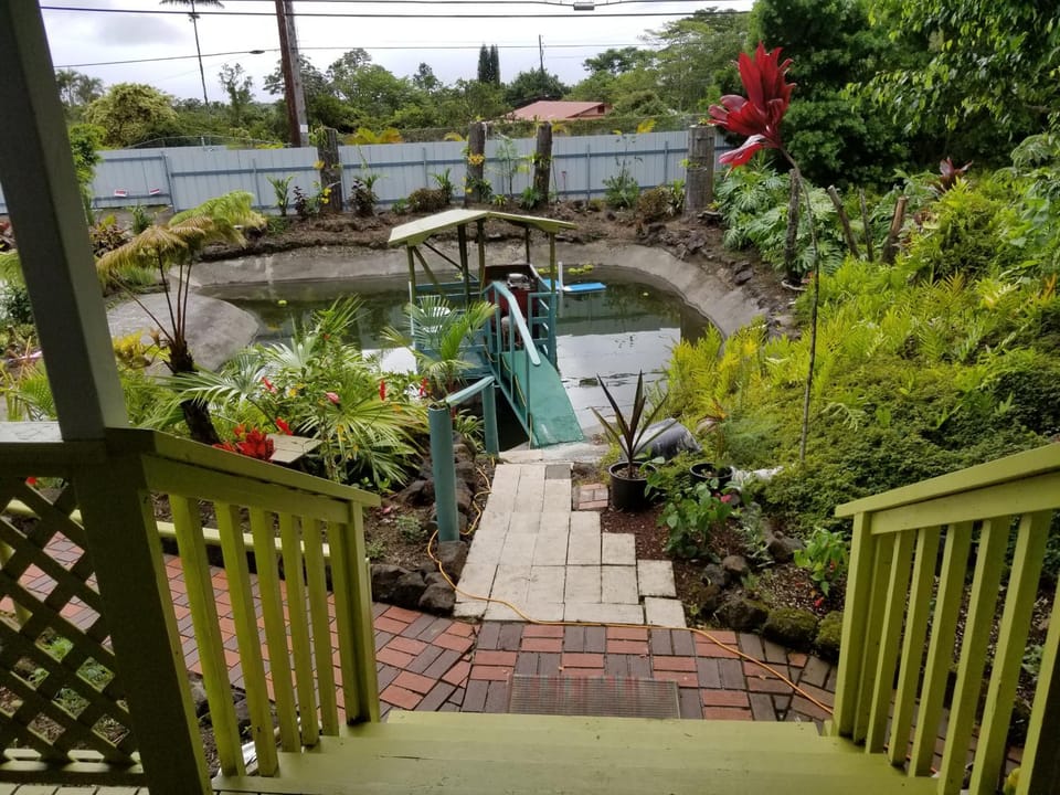 Fully renovated 4 bd with 2 master suits, 3 bth home in centralized location House in Orchidlands Estates