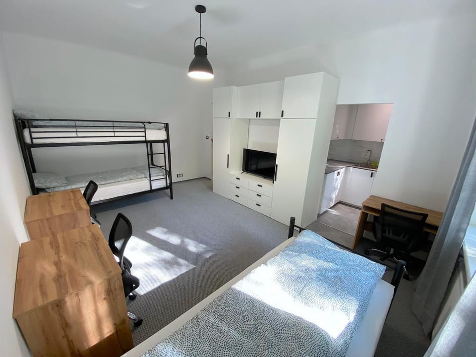 Bed, TV and multimedia, Kitchen or kitchenette, Photo of the whole room, bunk bed