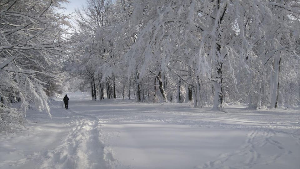 Natural landscape, Winter