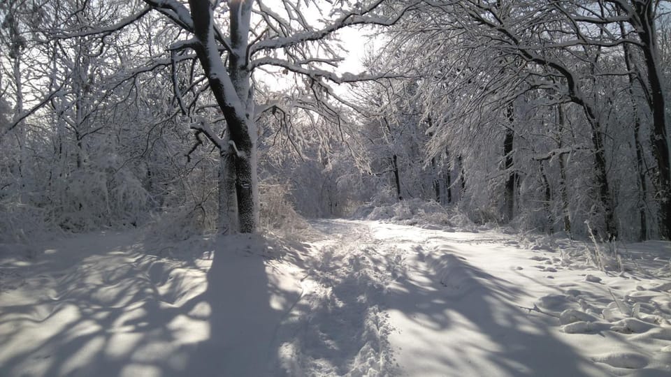 Winter