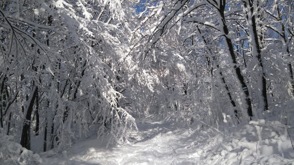 Natural landscape, Winter