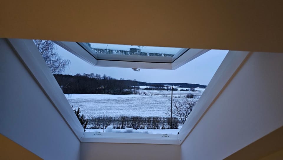 Natural landscape, Winter