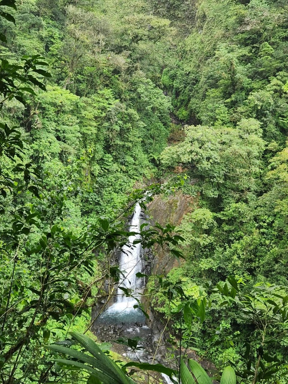 Casa Colibrí House in Alajuela Province