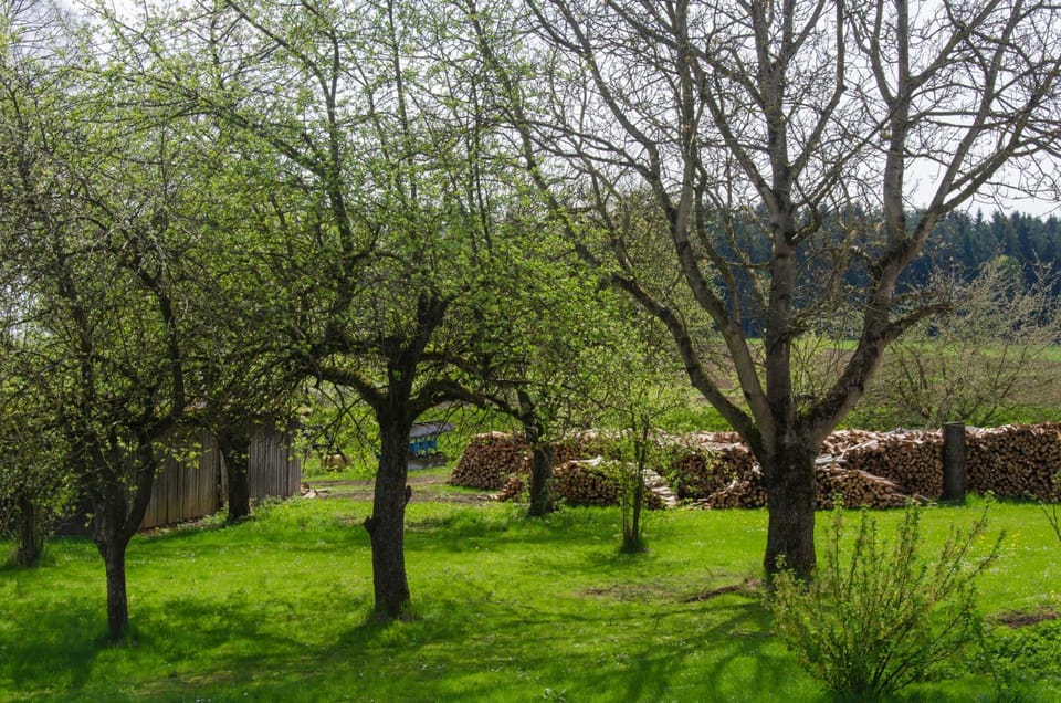 Spring, Day, Natural landscape, Garden