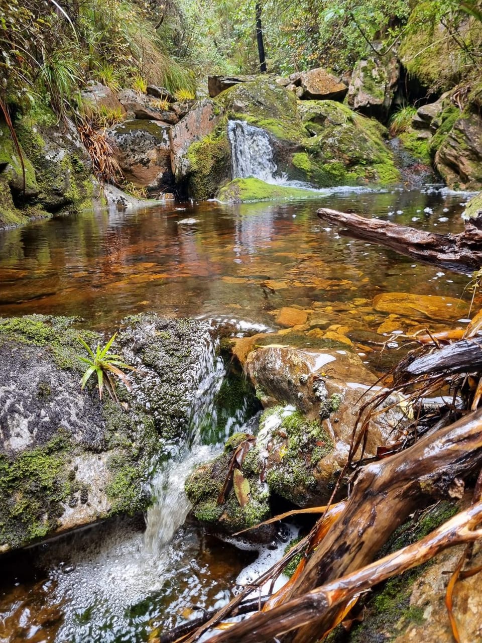 Spring, Natural landscape