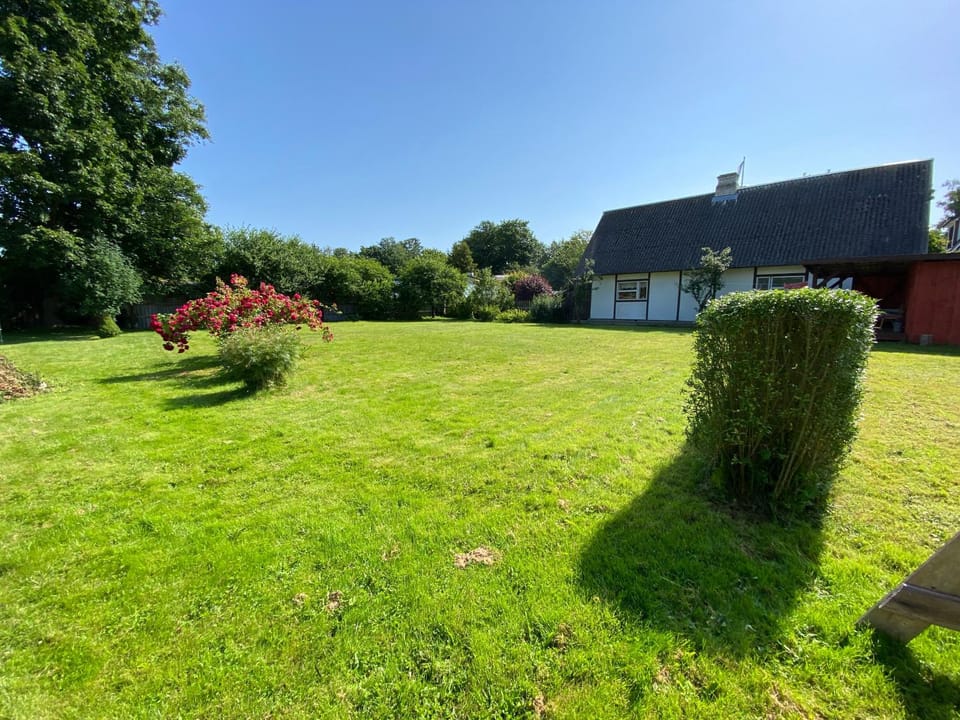Spring, Natural landscape, Garden, Garden view