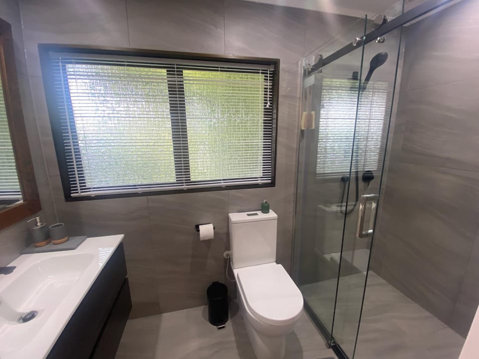 Shower, Toilet, Bathroom, towels