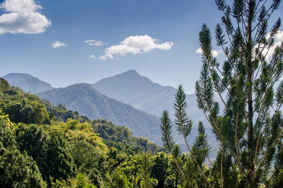 Natural landscape