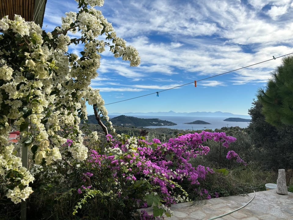 Natural landscape, Garden, Sea view