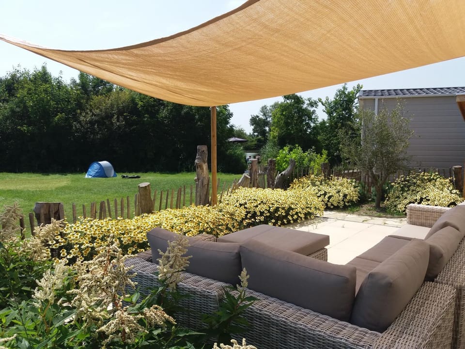 Patio, Garden, Garden, Seating area