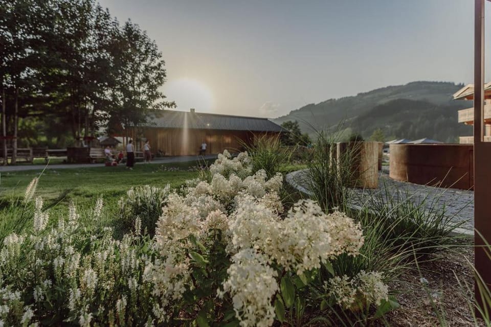Garden, View (from property/room), Garden view, Sunset
