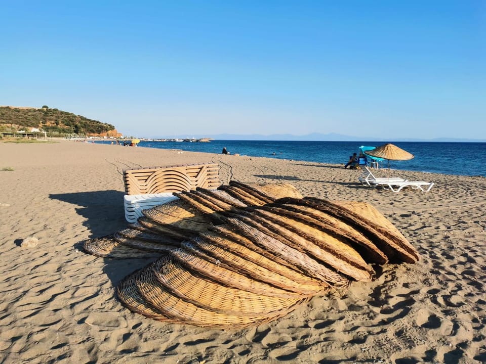 Natural landscape, Beach, Sea view, sunbed