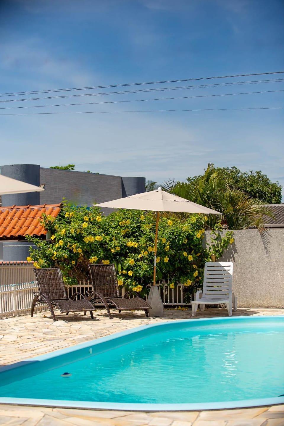 Natural landscape, Pool view, Swimming pool, sunbed