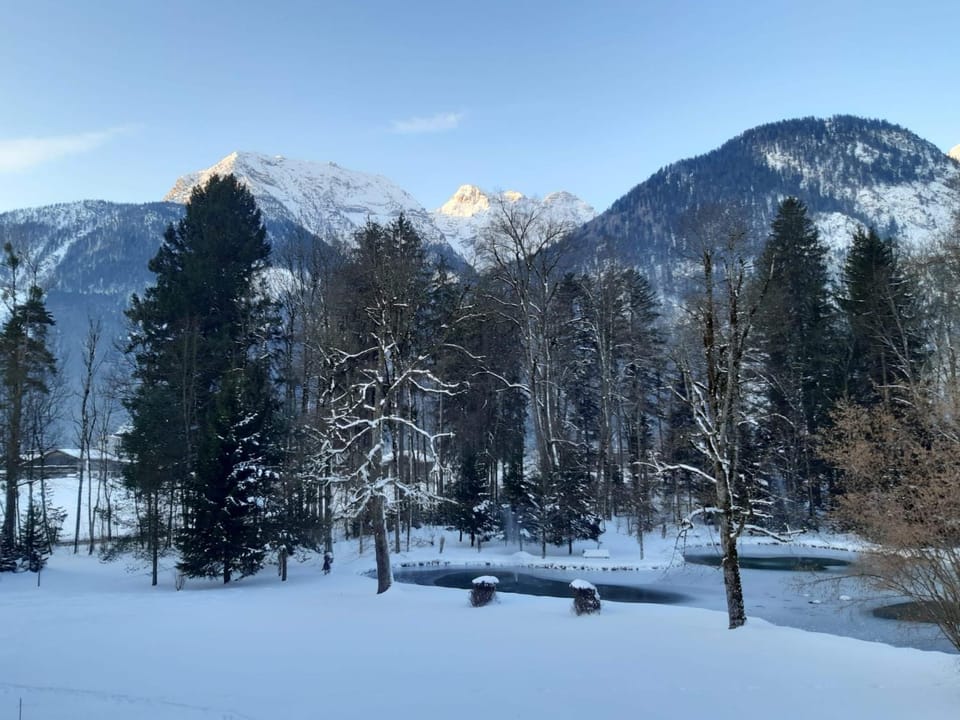 Mountain view