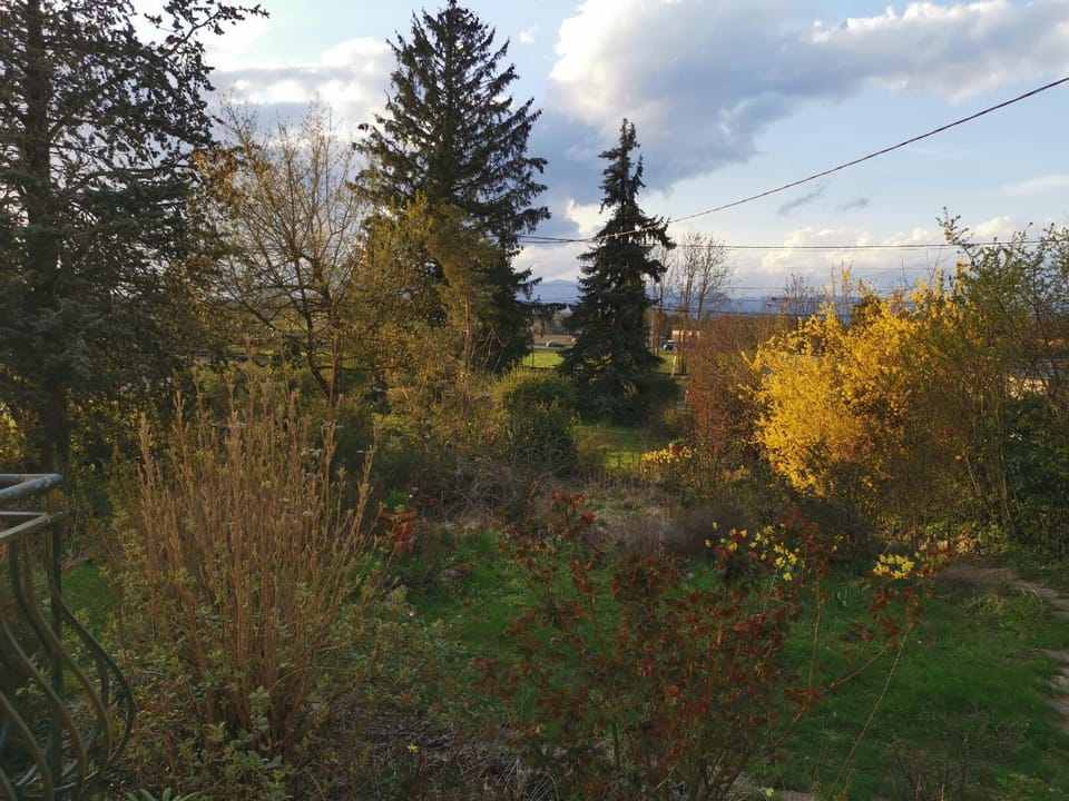 Natural landscape, Garden view