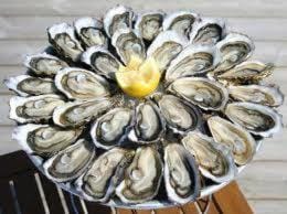 Les Gîtes Cancalais House in Cancale