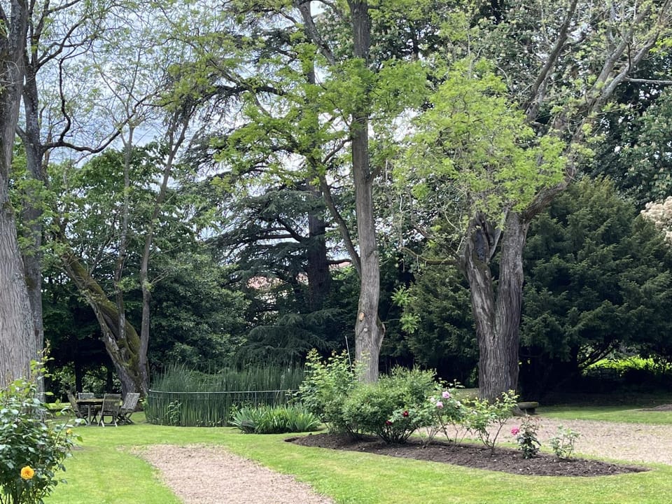 Property building, Garden