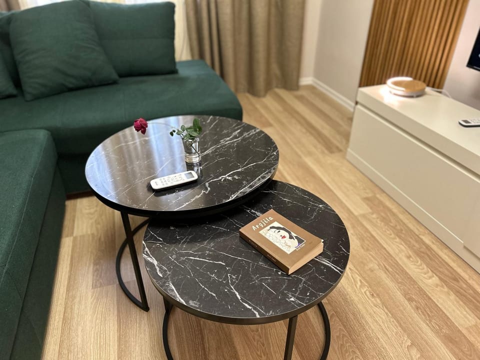 Spacious Fancy Apartment Apartment in Tirana
