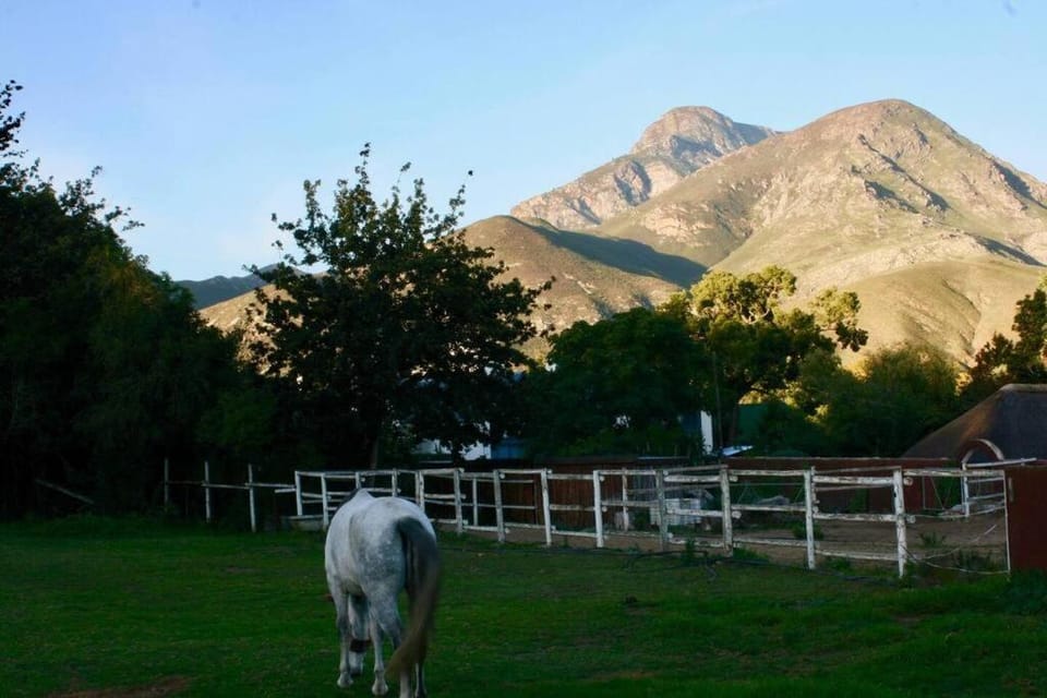 Gypsy Mama in Greyton Apartment in Western Cape