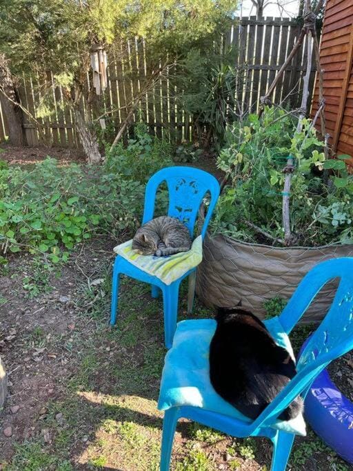 Gypsy Mama in Greyton Apartment in Western Cape