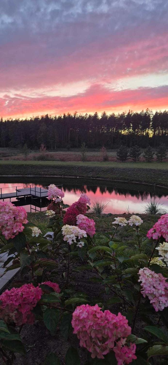 Natural landscape