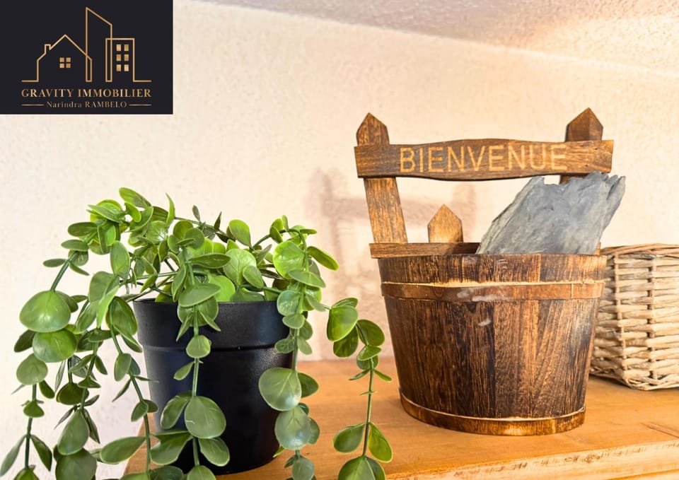 Chaleureux 2 chambres, Morillon Apartment in Morillon