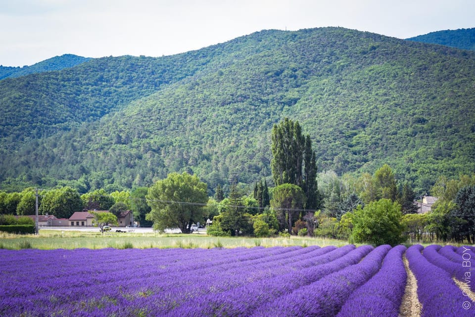 Nearby landmark, Natural landscape