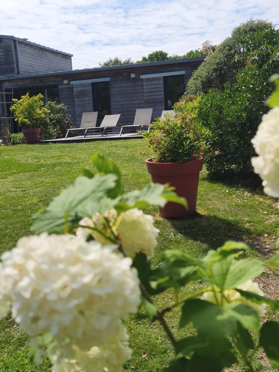 Garden, Garden view, sunbed