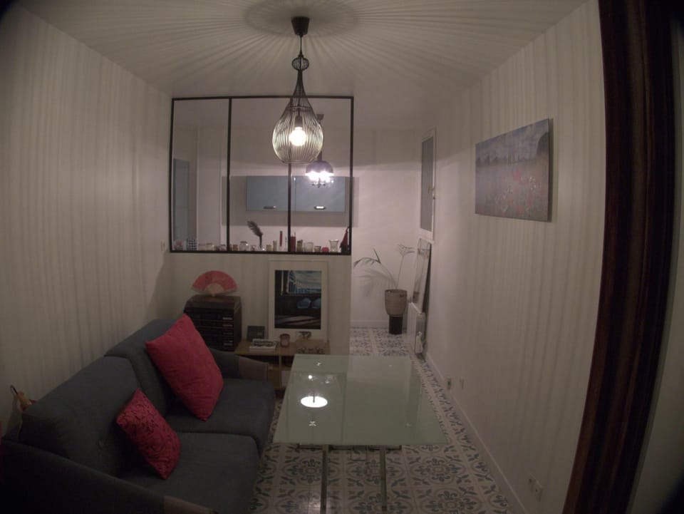 Beauty of Paris Apartment in Paris